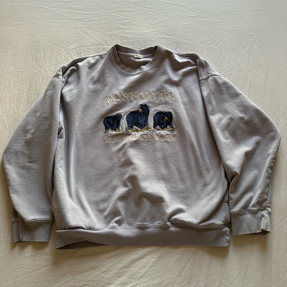 Brandy Melville Light Blue Yosemite Crewneck Sweater